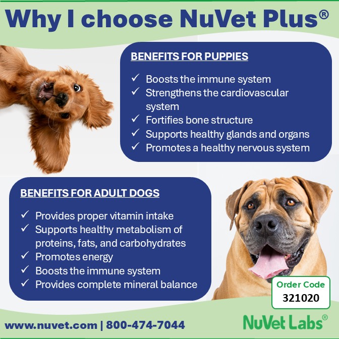 Benefits for Baby and Adilt 321020